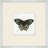 Miniature Butterfly, ensemble de 14 reproductions d’art sur papier