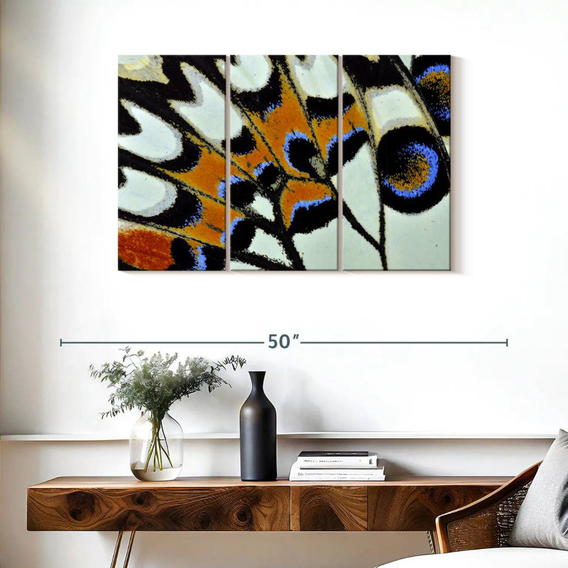 Butterfly Wing Close Up, 24" H x 38" W