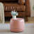 Pink est en rupture de stock