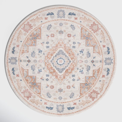 Mayhill Oriental Area Rug in Beige/Rust/Blue