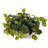 14'' Faux Ivy Plant in Wood Planter
