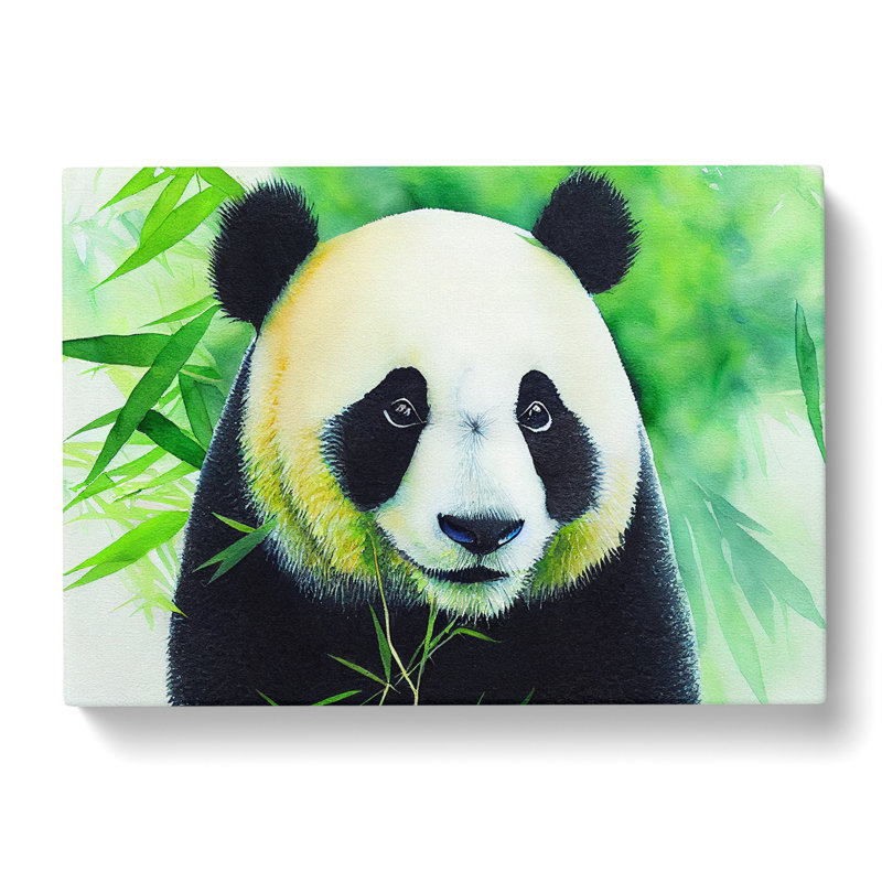 Panda Vol.2 - Wrapped Canvas, 35cm H x 50cm W x 3cm D
