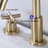 Widespread 2-handle Bathroom Faucet