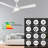 Veter 52'' Ceiling Fan with LED Lights
