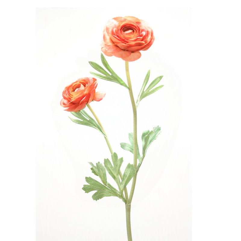 Arrangement