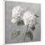 «White Hydrangeas» par Danhui Nai, reproduction d'art sur toile encadrée-101125840