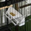 Cage à oiseau grande volée de 55 pouces PawHut-1341766046