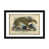 Black Framed Fine Art Paper is unavailable