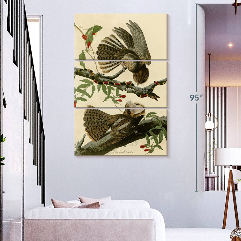 Brampt Chuck-Will's Widow, 74" H x 48" W