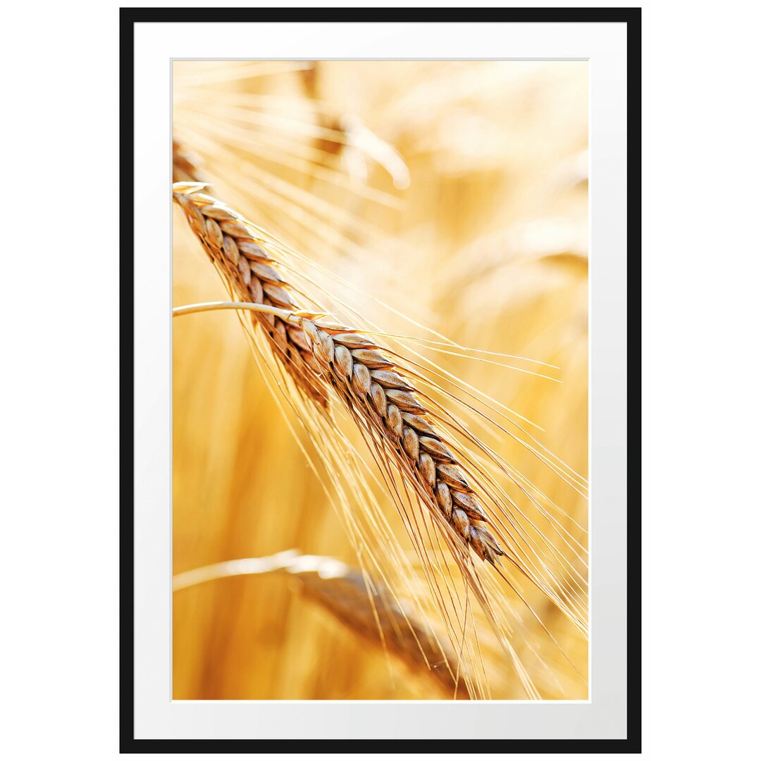 Gerahmtes Poster Weizen auf dem Feld