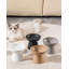 Elevated Feeder-124884119