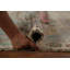 Vegetable Dye Oushak Turkish Area Rug 9x12