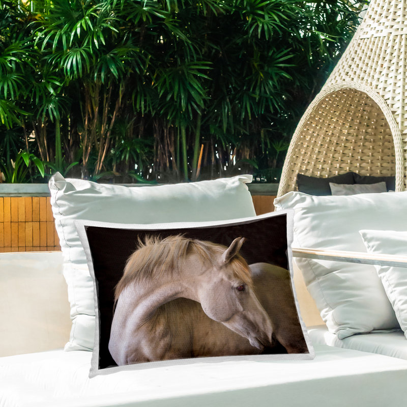 Coussin d'extérieur imprimé Highland Cow, Vibrant