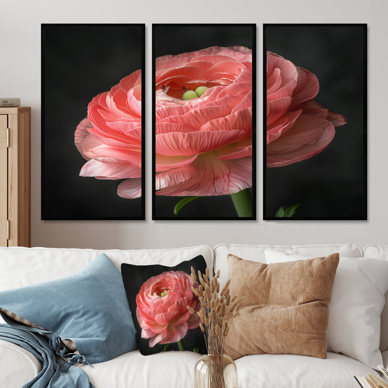 Ensemble de décoration murale monochrome Ranunculus Frozen Beauty II - Renoncule, Toile avec cadre flottant noir