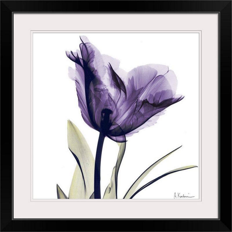 «Manigault», fleur mauve par Kiranjit, reproduction de photo, H 28 x l 28 po x P 1 po, Cadre noir