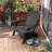 Unicoi Plastic Folding Adirondack Chair with Adjustable Backrest-1072699720