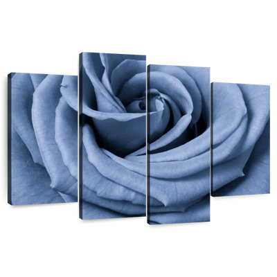 Rose bleue Harnek en gros plan