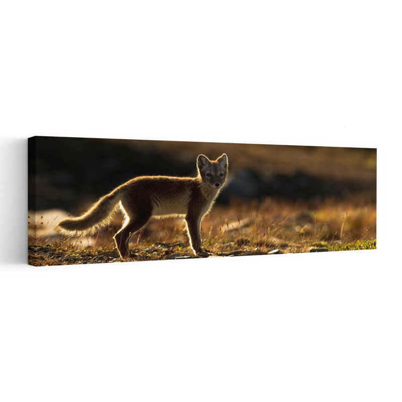 Art doré Golden Fox, H 60 po x l 20 po