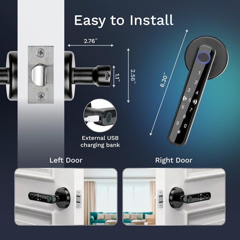 Levier de porte d'entrée sans clé Vizilok de couleur noire avec système de contrôle pratique de l'application