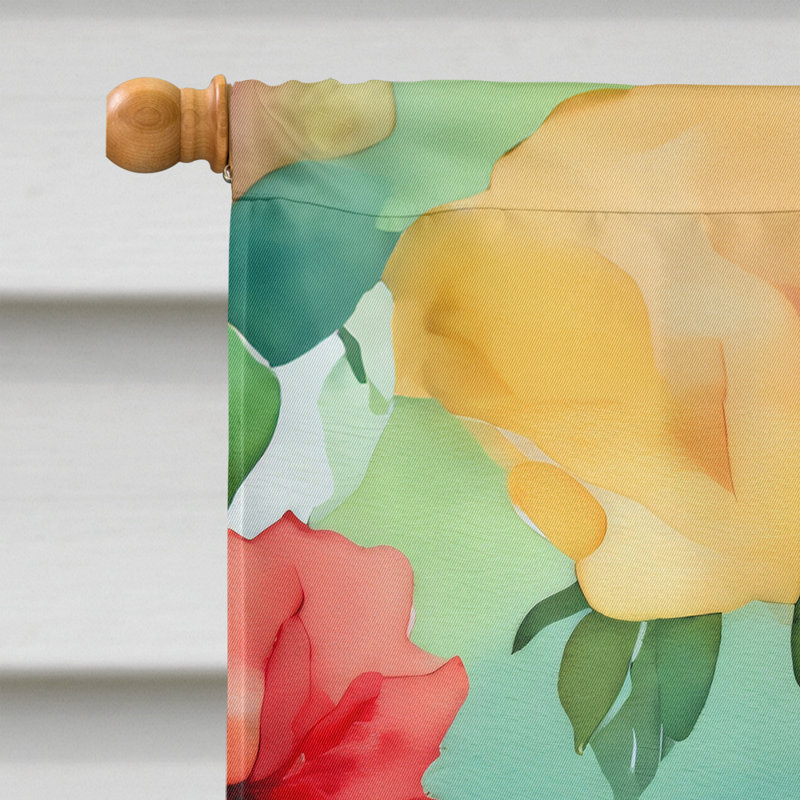 Drapeau de maison en polyester à double face H 40 po x l 28 po