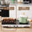 Razorri Electric Induction Cooktop, Removable Cast Iron Griddle Pan Non-Stick, 1800W Double Burner