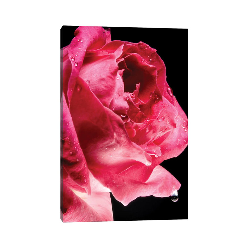 Red Rose Flower by Glauco Meneghelli - Wrapped Canvas Print