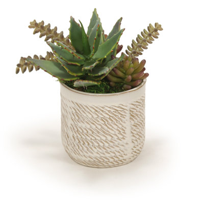 Succulent agave artificiel 4" en pot