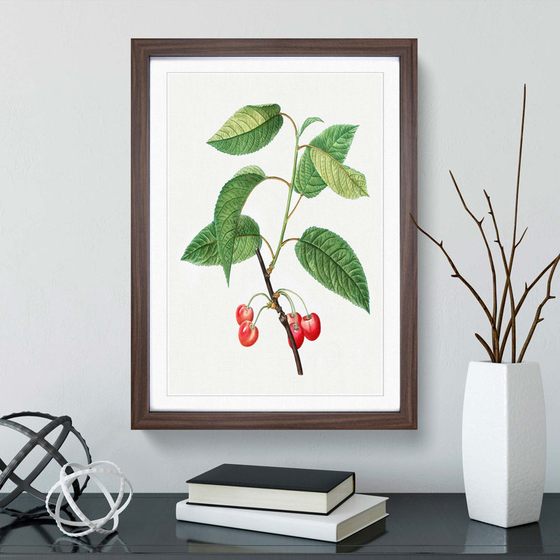Cherry Tree by Pierre-Joseph Redoute - Picture Frame Painting Print, 65cm H x 48cm W x 2cm D, Walnut Framed