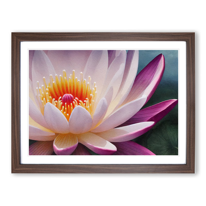 Cheerful Water Lily Flower - Single Picture Frame Print, 46cm H x 64cm W x 2cm D, Walnut