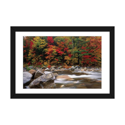 " Wild River In Eastern Hardwood Forest " by Tim Fitzharris