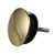 PVD Polished Brass