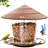 Dinyu Hanging-1662722687