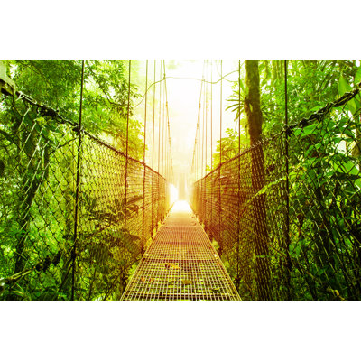 Arenal Hanging Bridges Park Of Costa Rica by Anna_Om - Wrapped Canvas Print