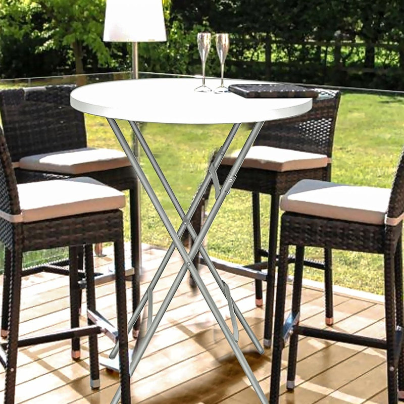 31.89 in. L Plastic / Acrylic Picnic Table