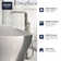 Essence New Single Handle Floor Mounted with Handshower