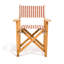Directors Chair Table-1069273781