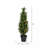 Artificial Cedar Trees Artificial Cedar Tree In Pot UV-553950494