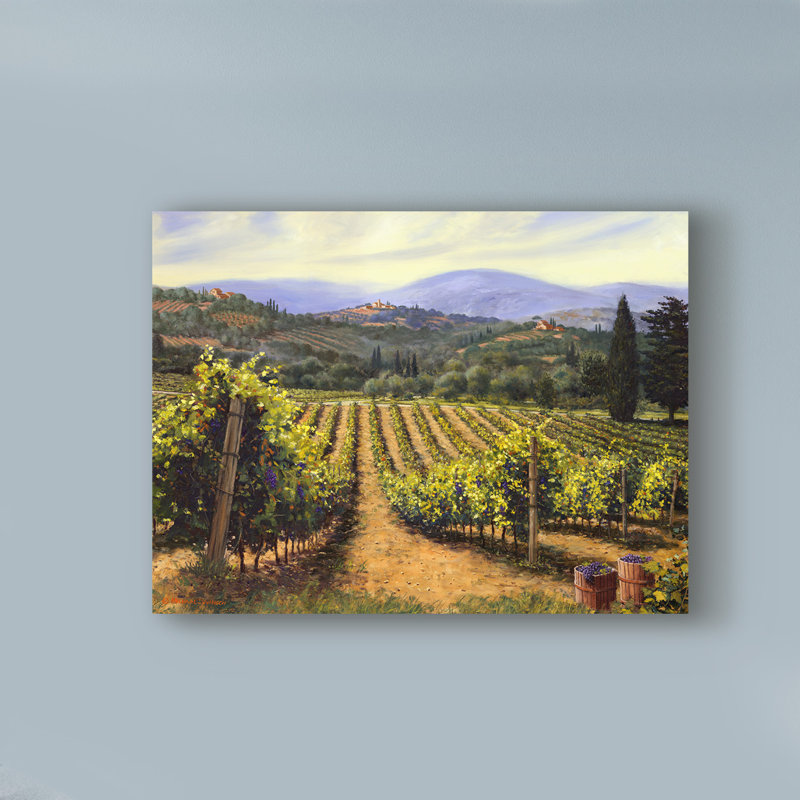 «Tuscany Vines» par Michael Swanson, reproduction sur toile tendue, H 24 po x l 32 po x P 2 po