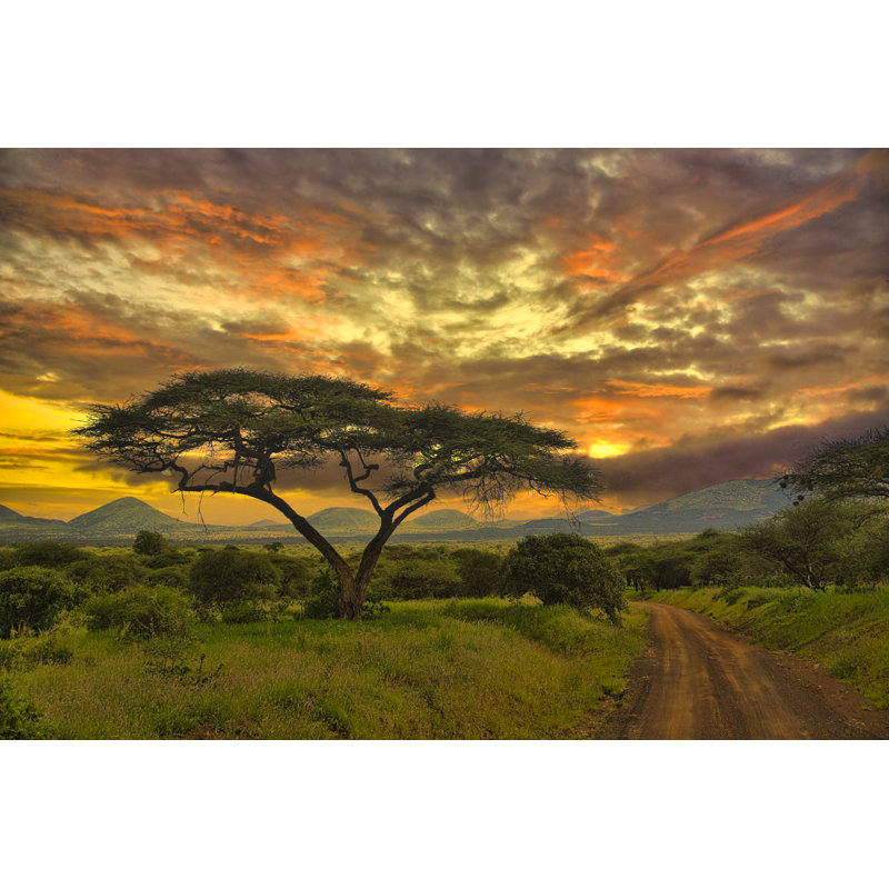 Sunset In Tsavo by HPS-Digitalstudio - Wrapped Canvas Print, 20cm H x 30cm W