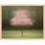 Pretty in Pink by Laura Zimmerman - Framed Wall Art-909087132-909087127