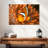 Brampt Orange Clownfish-107677479