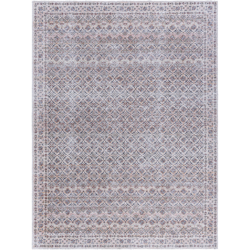 Alcaide Washable Oriental Indoor Rug, Rectangle 5'3" x 7'