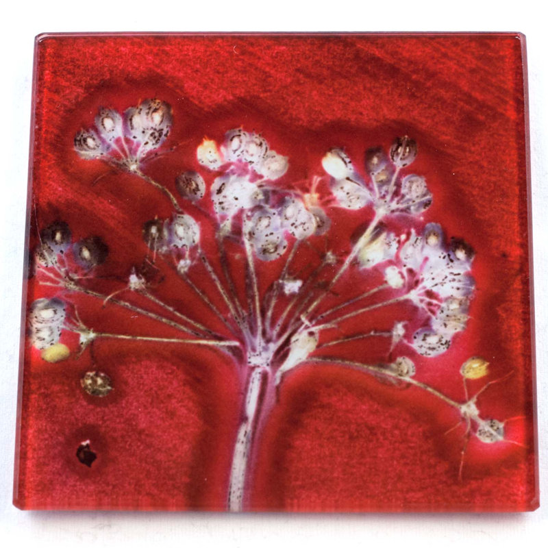 Glass Square 1 Piece Coaster, Red