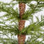 4ft Pre-Lit Artificial Christmas 2-Piece