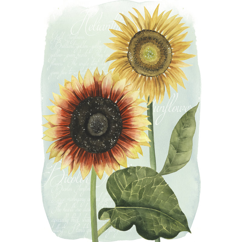 Étude de tournesol I, H 12 po x l 8 po x P 1,25 po