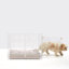 Medium Clear View Pet Crate with Silver Latch, Khaki Cushion-1329241322
