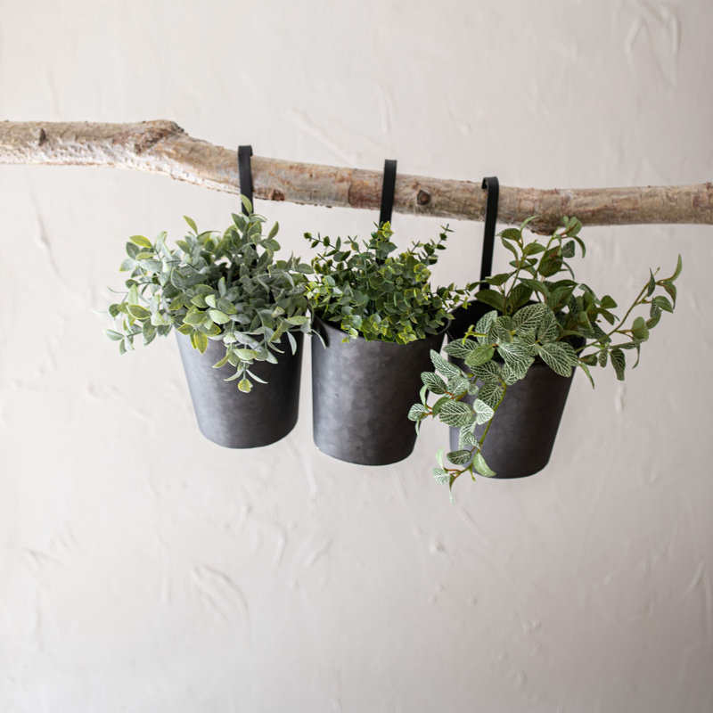 Set of 3 Black Galvanized Metal Hanging Planters