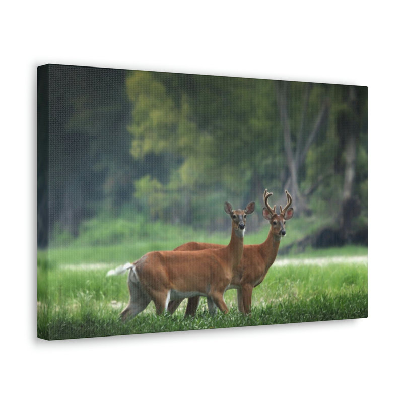 No Frame Print on Canvas