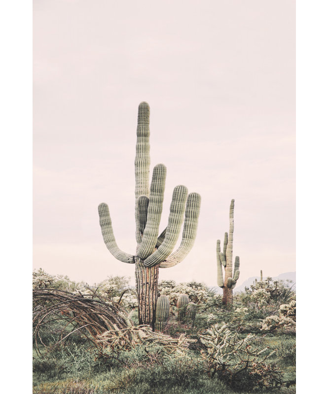 1 Piece Wrapped Canvas Wall Art