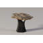 Arboresce Petrified Wood Mini Coffee Table